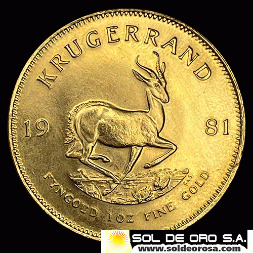 SUDAFRICA - KRUGERRAND, 1981 - ONZA / MONEDA DE ORO