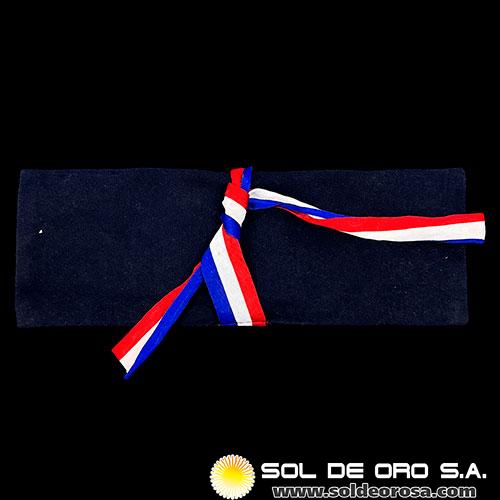 REPUBLICA DEL PARAGUAY - SET PROCERES DE LA INDEPENDENCIA - 2011 - MEDALLAS CONMEMORATIVAS