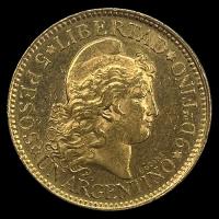 ARGENTINA - CINCO PESOS - UN ARGENTINO, 1896 - MONEDA DE ORO